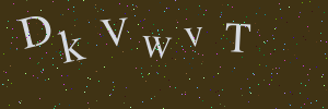 Validation image