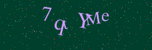 Validation image
