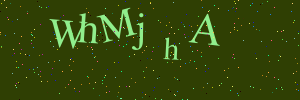 Validation image