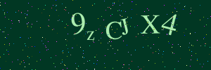 Validation image