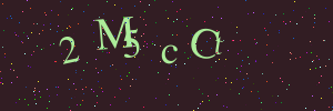Validation image