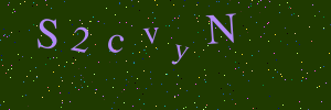 Validation image