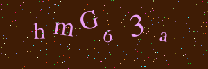 Validation image