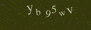 Validation image