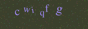 Validation image