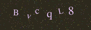 Validation image