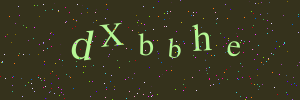 Validation image